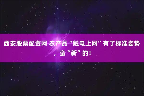 西安股票配资网 农产品“触电上网”有了标准姿势，蛮“新”的！