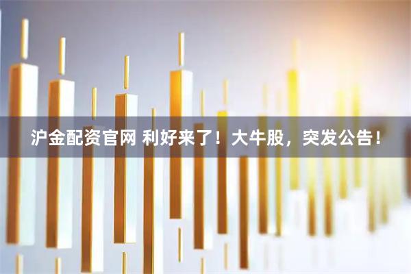 沪金配资官网 利好来了！大牛股，突发公告！