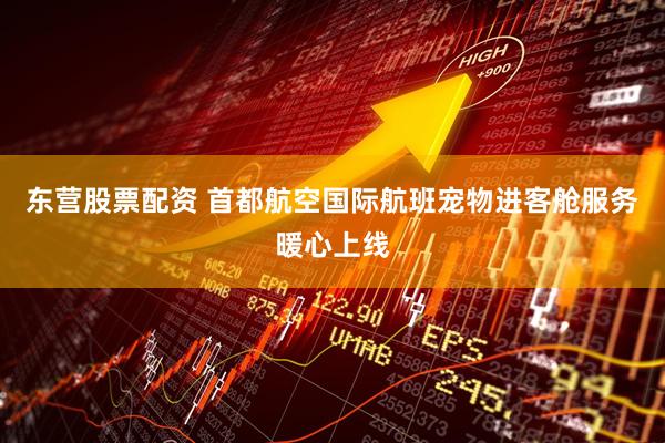 东营股票配资 首都航空国际航班宠物进客舱服务暖心上线